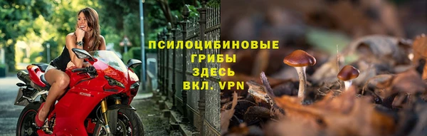 индика Абаза