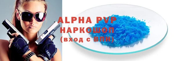 индика Абаза