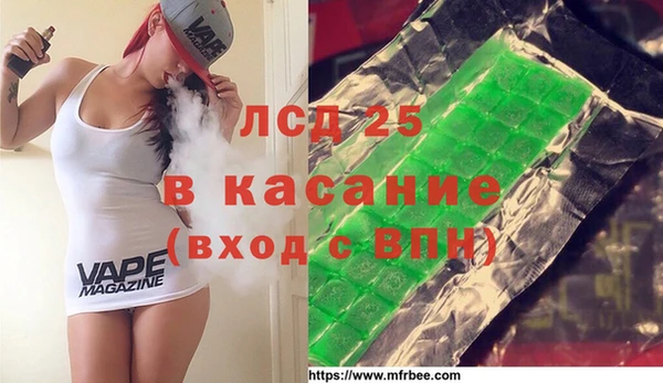 индика Абаза
