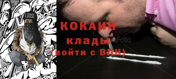 индика Абаза