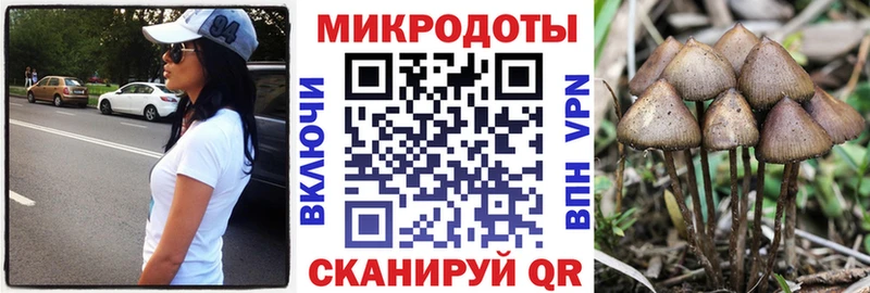 блэк спрут ONION  Алагир  Галлюциногенные грибы Psilocybine cubensis 